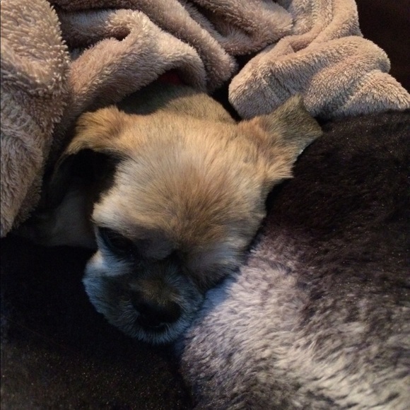 AnnJay and Sam Fashion super stars always in style - Picture 3 of 8